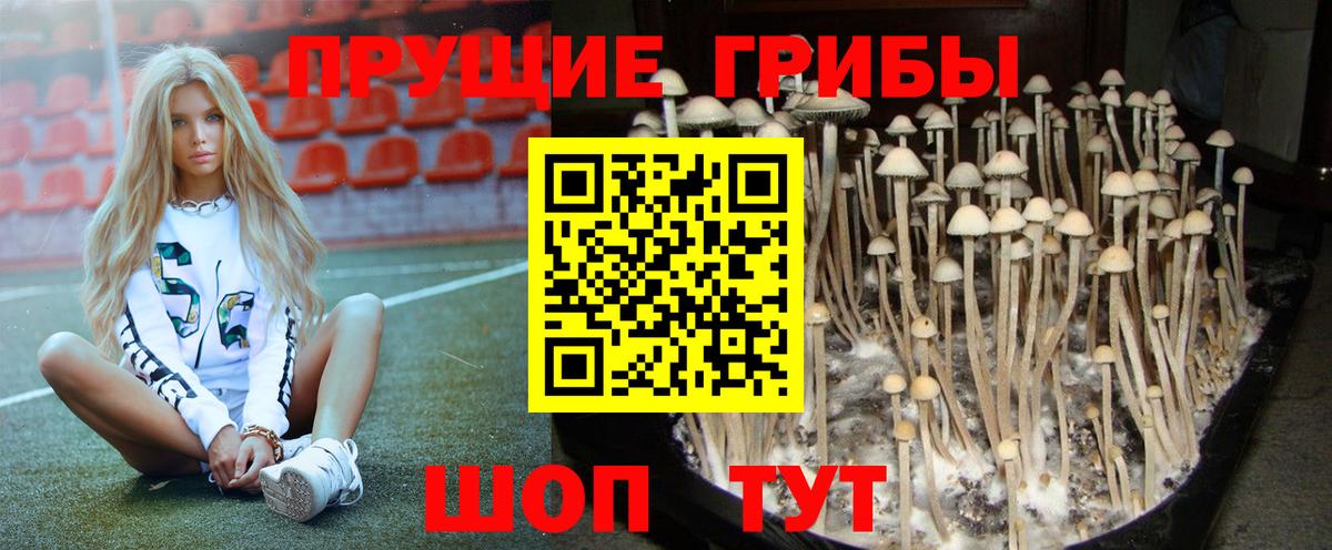 Благодарный  Галлюциногенные грибы мухоморы  Галлюциногенные грибы мицелий  Вход с VPN 